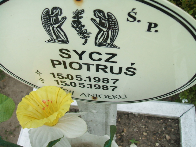 Piotr Sycz 1987 Miłkowice - Grobonet - Wyszukiwarka osób pochowanych