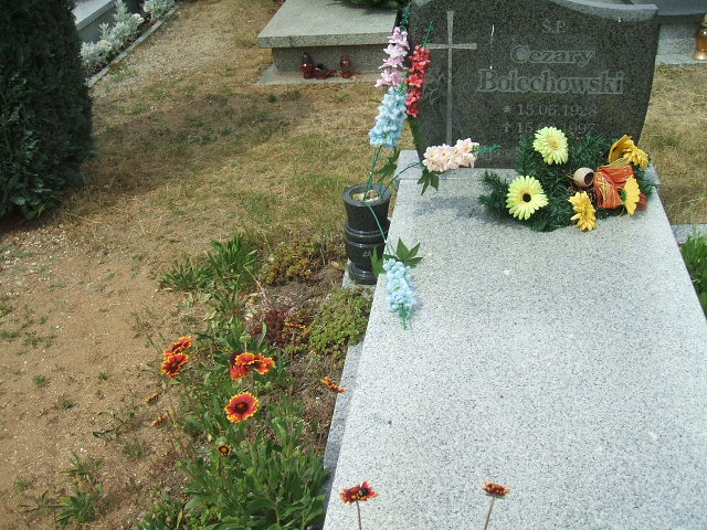 Grób Edwarda Bolechowska